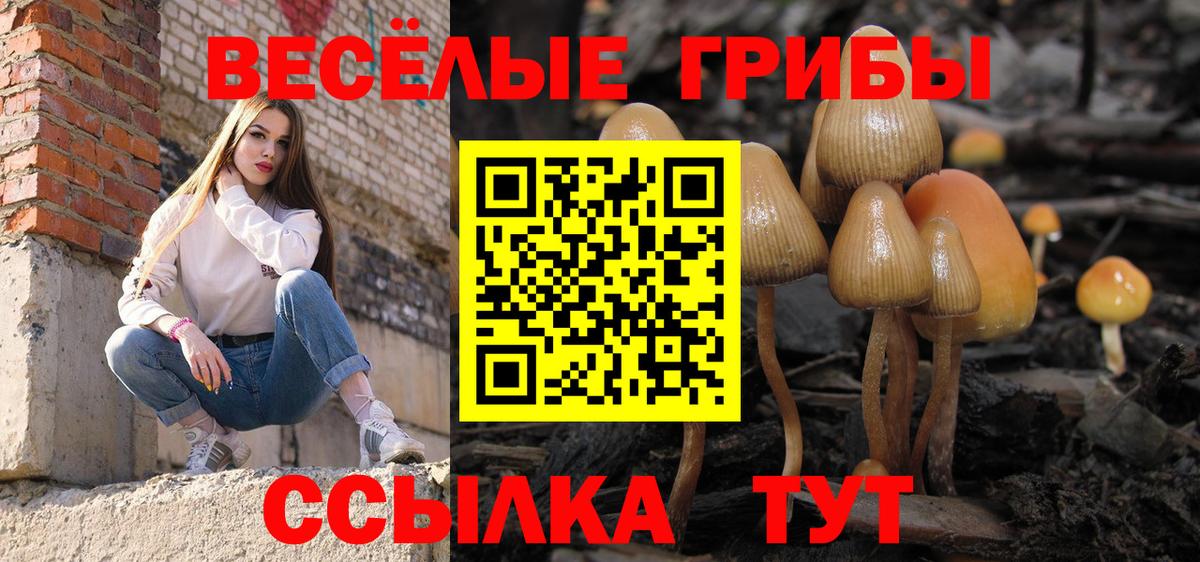 Галлюциногенные грибы Cubensis Дзержинский