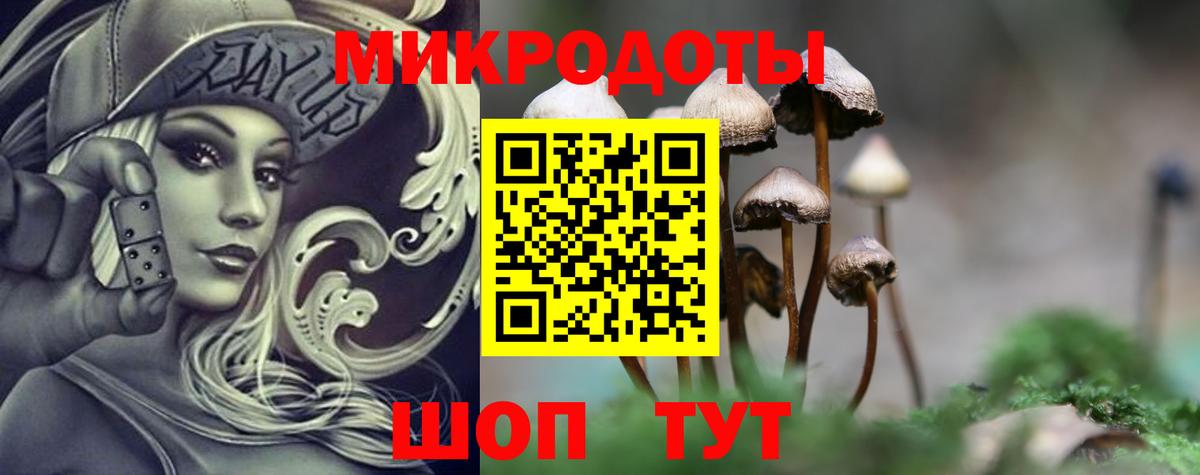 Псилоцибиновые грибы MAGIC MUSHROOMS  закладка  Псилоцибиновые грибы Psilocybe  Дзержинский  Вход с VPN 